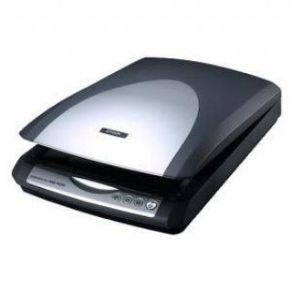Epson 2480P
